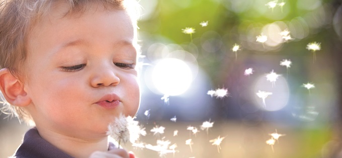 Boy with dandelion