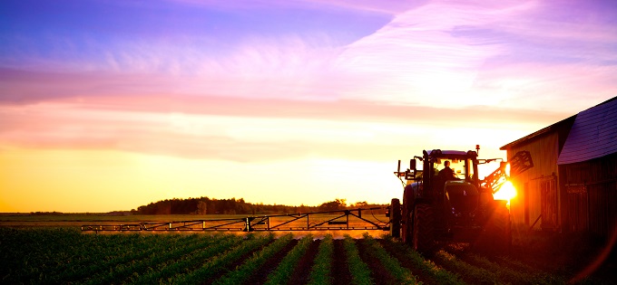 Tractor at dawn