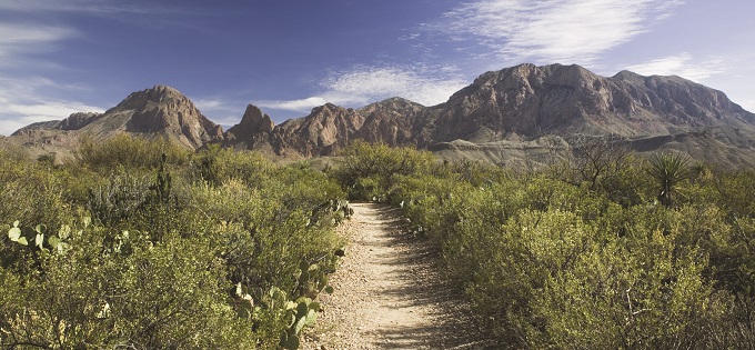 Dirt trail into mountains