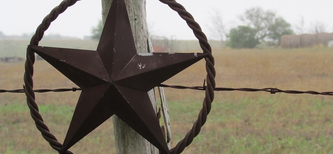 Misty Metal Texas Star